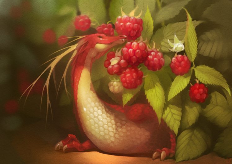 digital art, Fantasy art, Dragon, Rasberry HD Wallpaper Desktop Background