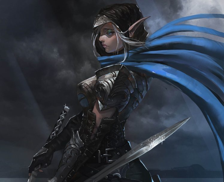 elves, Warrior, Armor, Sword, Artwork, Fantasy art HD Wallpaper Desktop Background