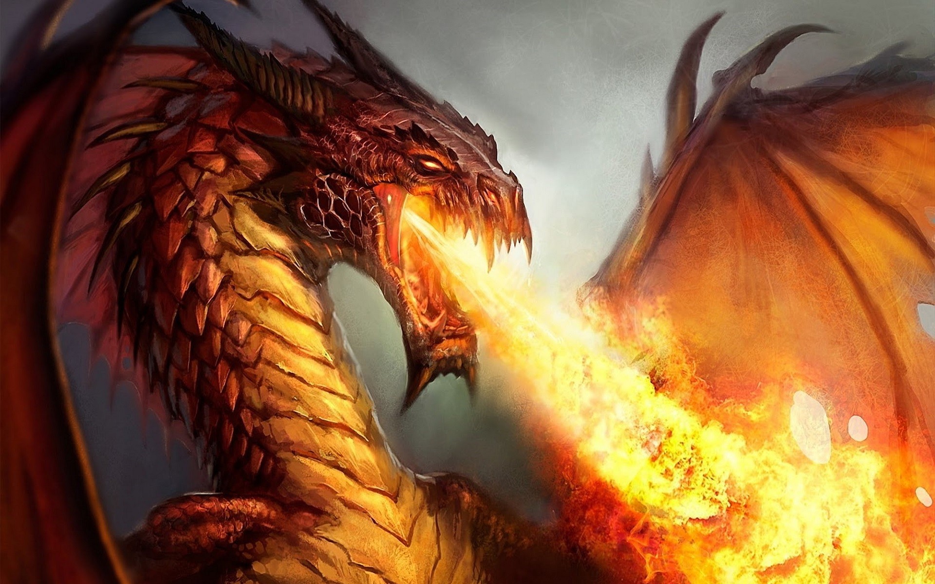 fantasy art, Dragon, Fire, Artwork Wallpapers HD / Desktop and Mobile