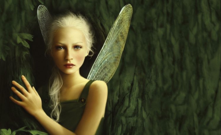 fairies, Fantasy girl, Fantasy art HD Wallpaper Desktop Background