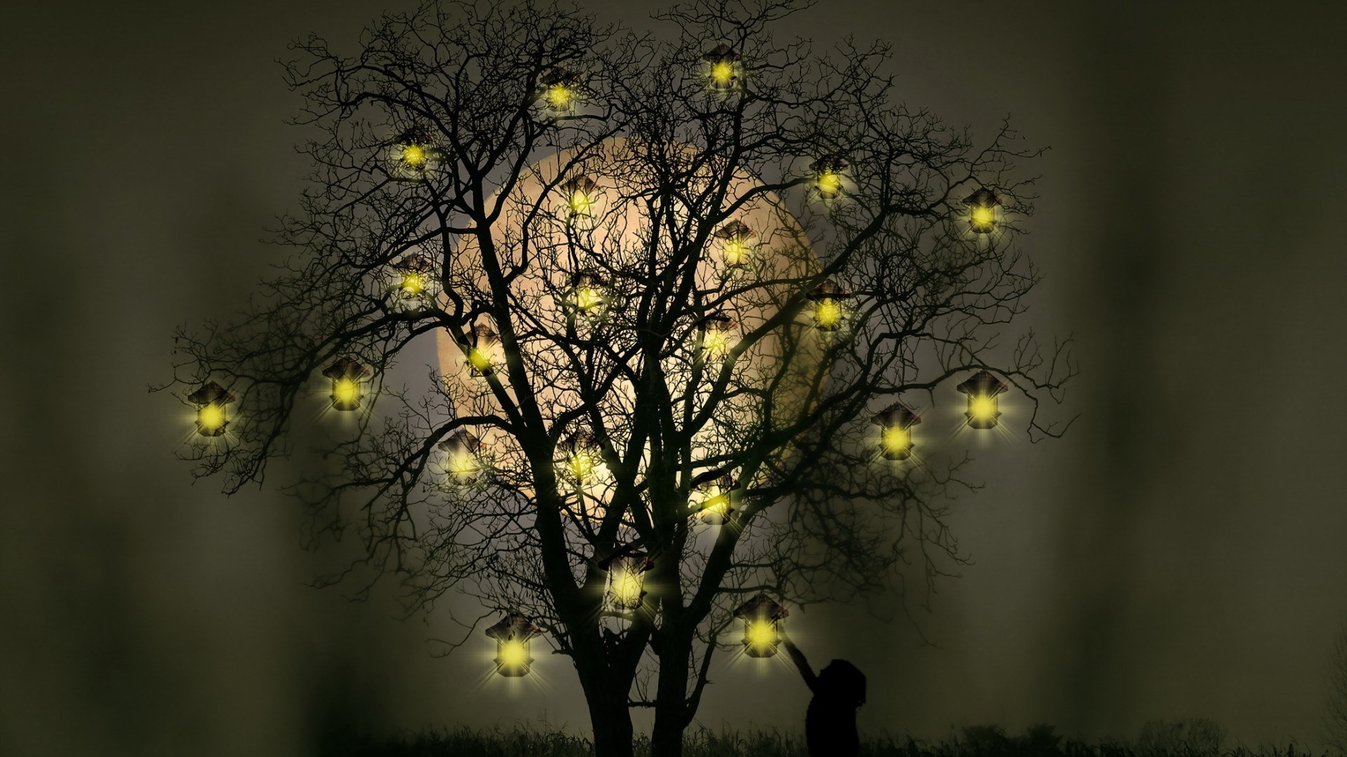children, Fantasy art, Nature, Trees, Night, Moon, Lantern, Lights, Grass, Silhouette, Photoshop, Branch Wallpaper