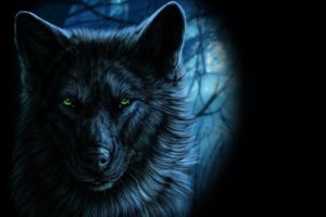 wolf, Fantasy art, Animals, Artwork