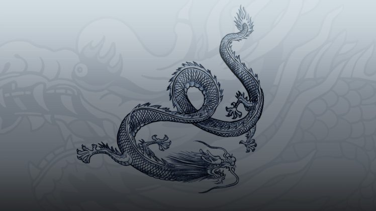 dragon, Sleeping Dogs HD Wallpaper Desktop Background