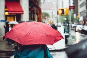 umbrella, Rain, Women