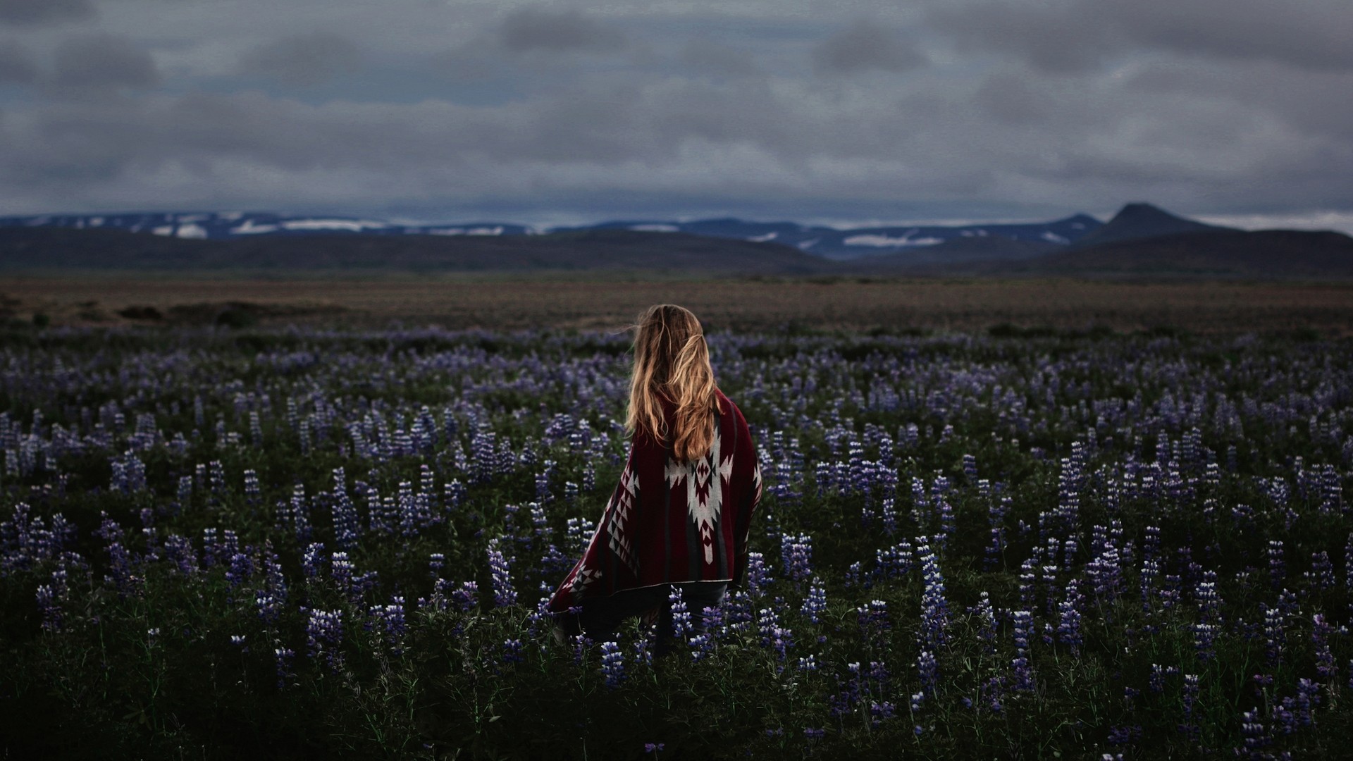 women, Field, Blonde Wallpaper