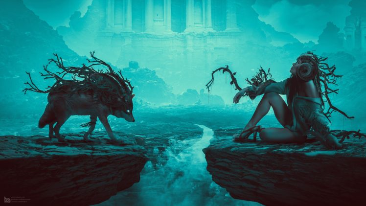 fantasy art, Blue, Wolf, Women, Plants HD Wallpaper Desktop Background