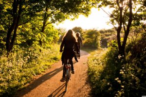women, Sunlight, Trees, Tracks, Forest, Women with bikes