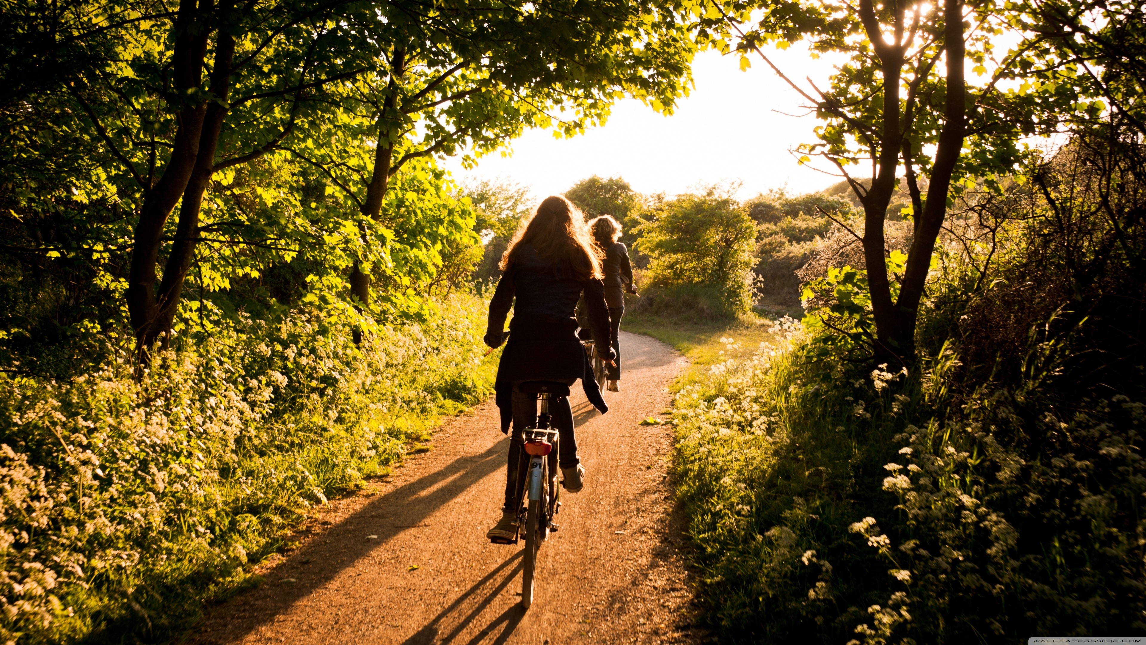 women, Sunlight, Trees, Tracks, Forest, Women with bikes Wallpaper