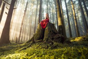 women, Nature, Trees, Forest