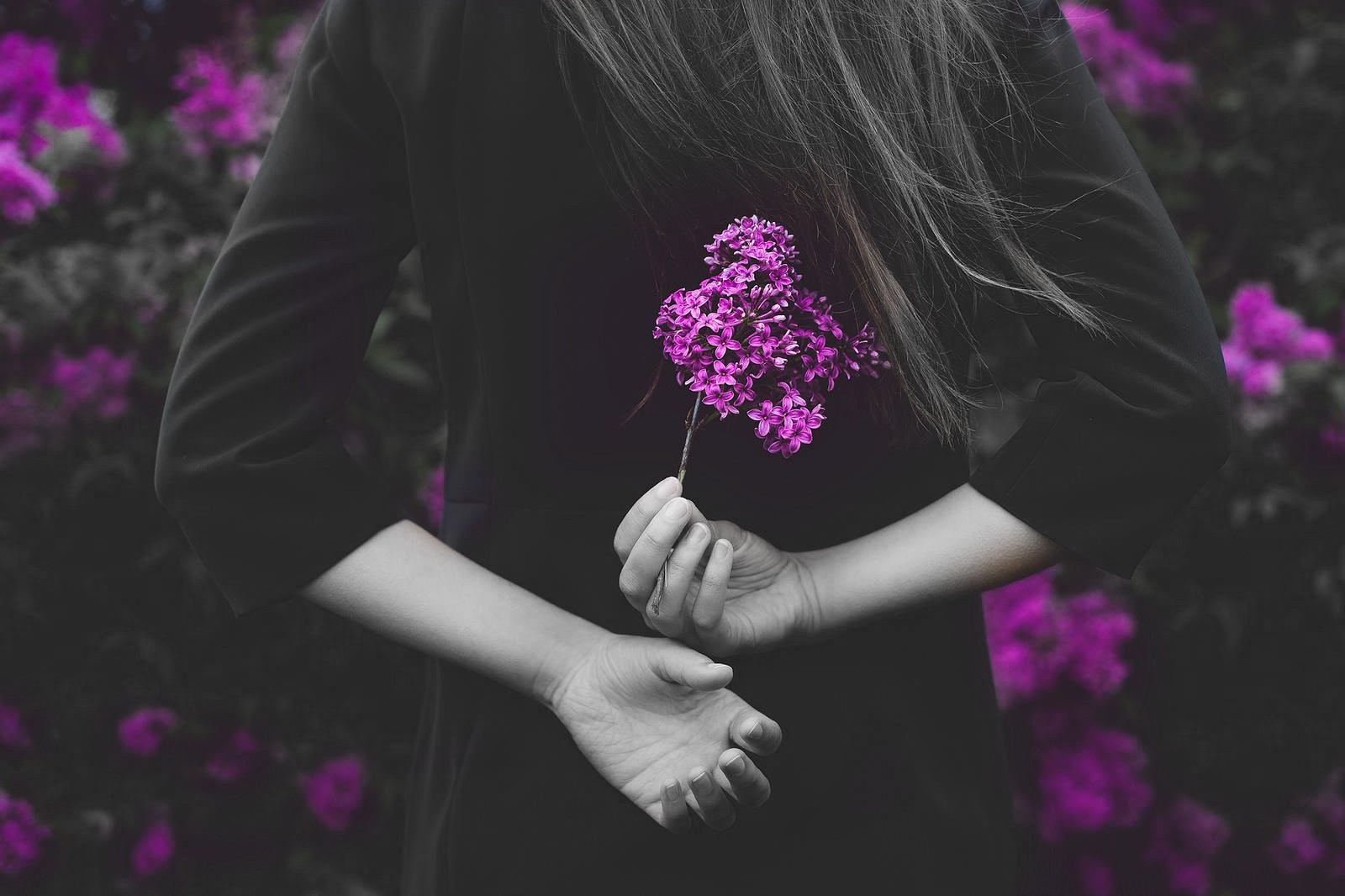 women, Hands, Purple, Flowers, Selective coloring Wallpaper