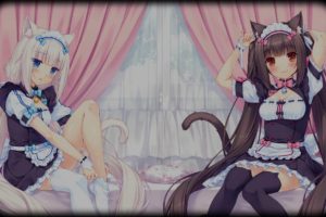 Neko Para, Vanilla (Neko Para), Chocolat (Neko Para), Anime girls, Maid outfit, Thigh highs