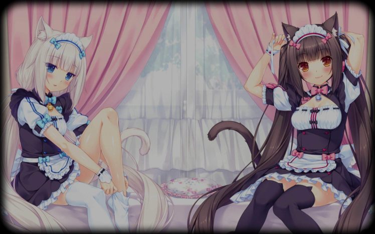Neko Para, Vanilla (Neko Para), Chocolat (Neko Para), Anime girls, Maid outfit, Thigh highs HD Wallpaper Desktop Background