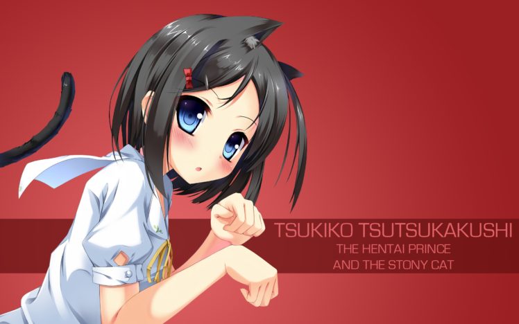 Hentai Ouji to Warawanai Neko, Anime girls, Tsutsukakushi Tsukiko HD Wallpaper Desktop Background