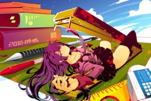 Monogatari Series, Anime girls, Senjougahara Hitagi