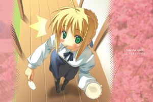 Fate Series, Fate Stay Night, Anime girls, Saber