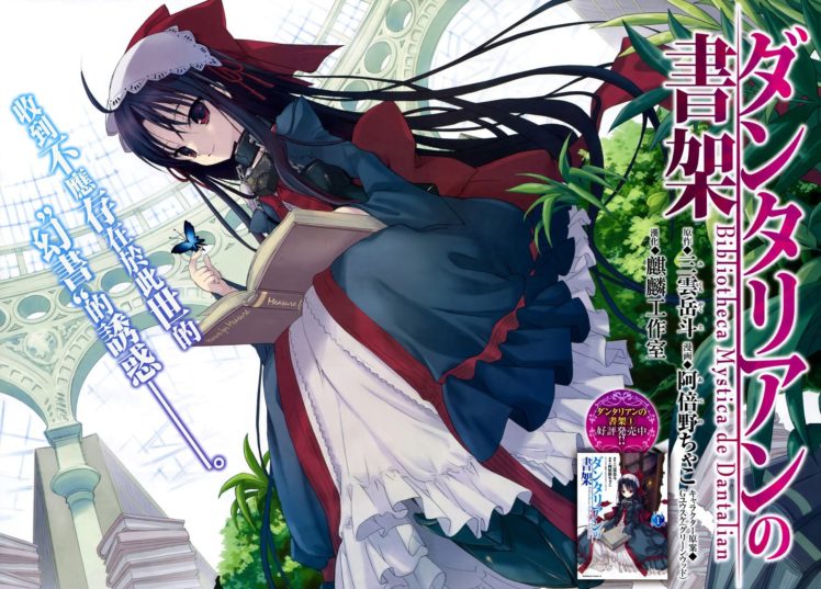 Dantalian no Shoka, Anime girls, Dalian (Dantalian no Shoka), Butterfly, Books, Anime HD Wallpaper Desktop Background
