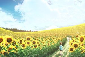 sunflowers, Sky, Field