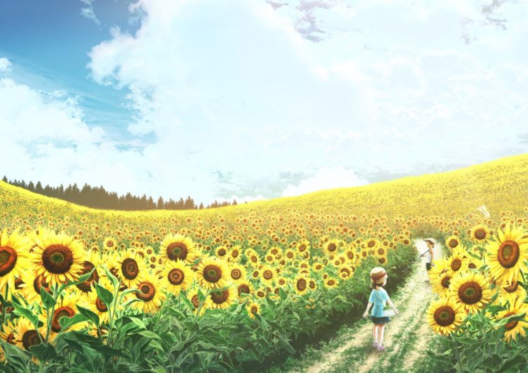 sunflowers, Sky, Field HD Wallpaper Desktop Background