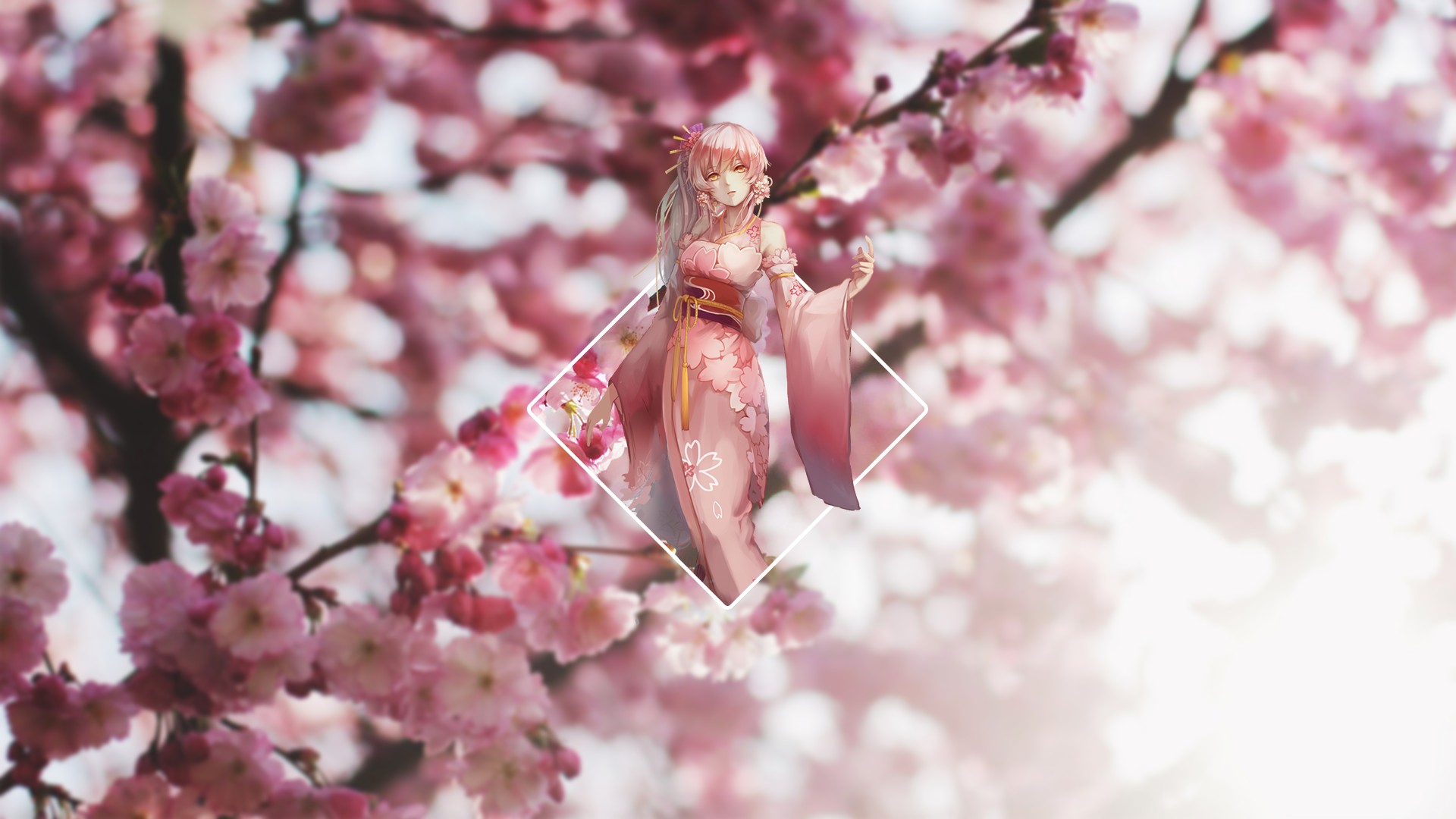 landscape, Cherry blossom, Anime girls, Blurred Wallpapers ...