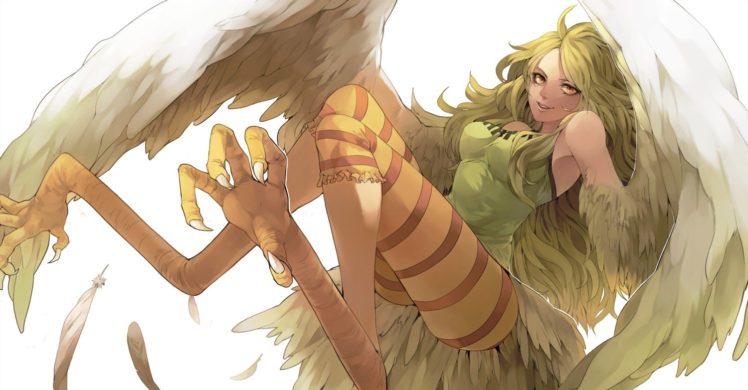 One Piece, Wings, Harpy HD Wallpaper Desktop Background