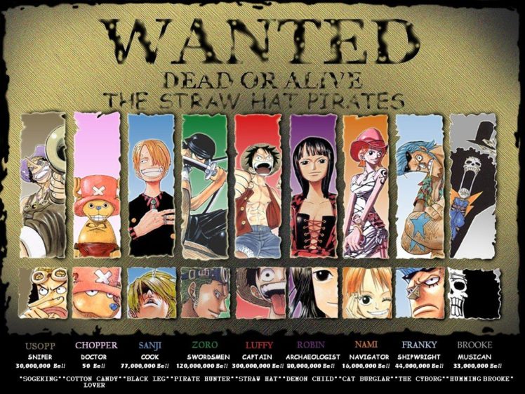 One Piece, Monkey D. Luffy, Usopp, Tony Tony Chopper, Sanji, Roronoa Zoro, Nico Robin, Nami, Brook, Franky HD Wallpaper Desktop Background