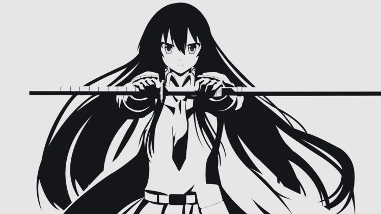 Akame, Akame ga Kill!, Anime vectors, Vectors HD Wallpaper Desktop Background