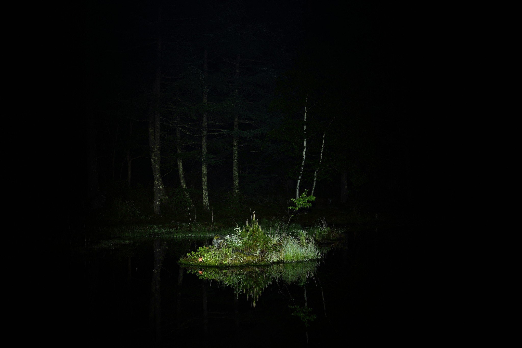 night Wallpaper