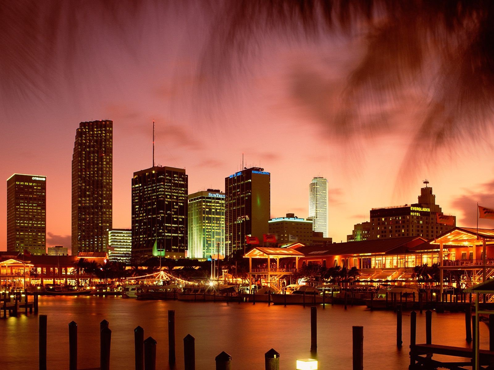 Miami Wallpaper