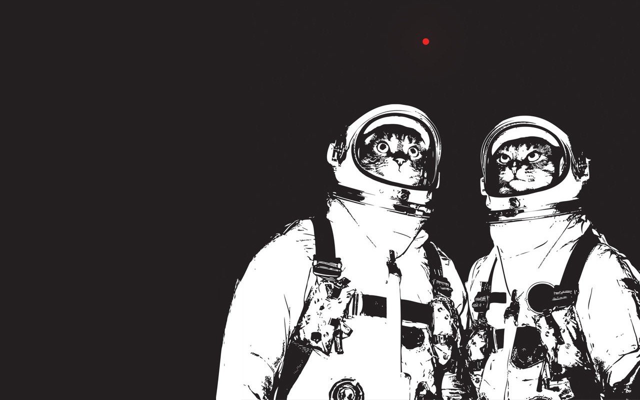 astronaut, Cat Wallpaper