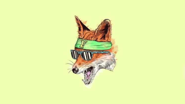 fox, Drawing HD Wallpaper Desktop Background