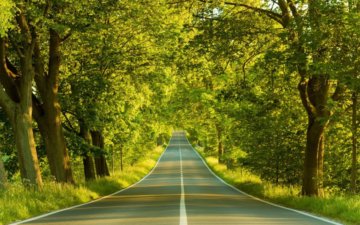 road Wallpaper