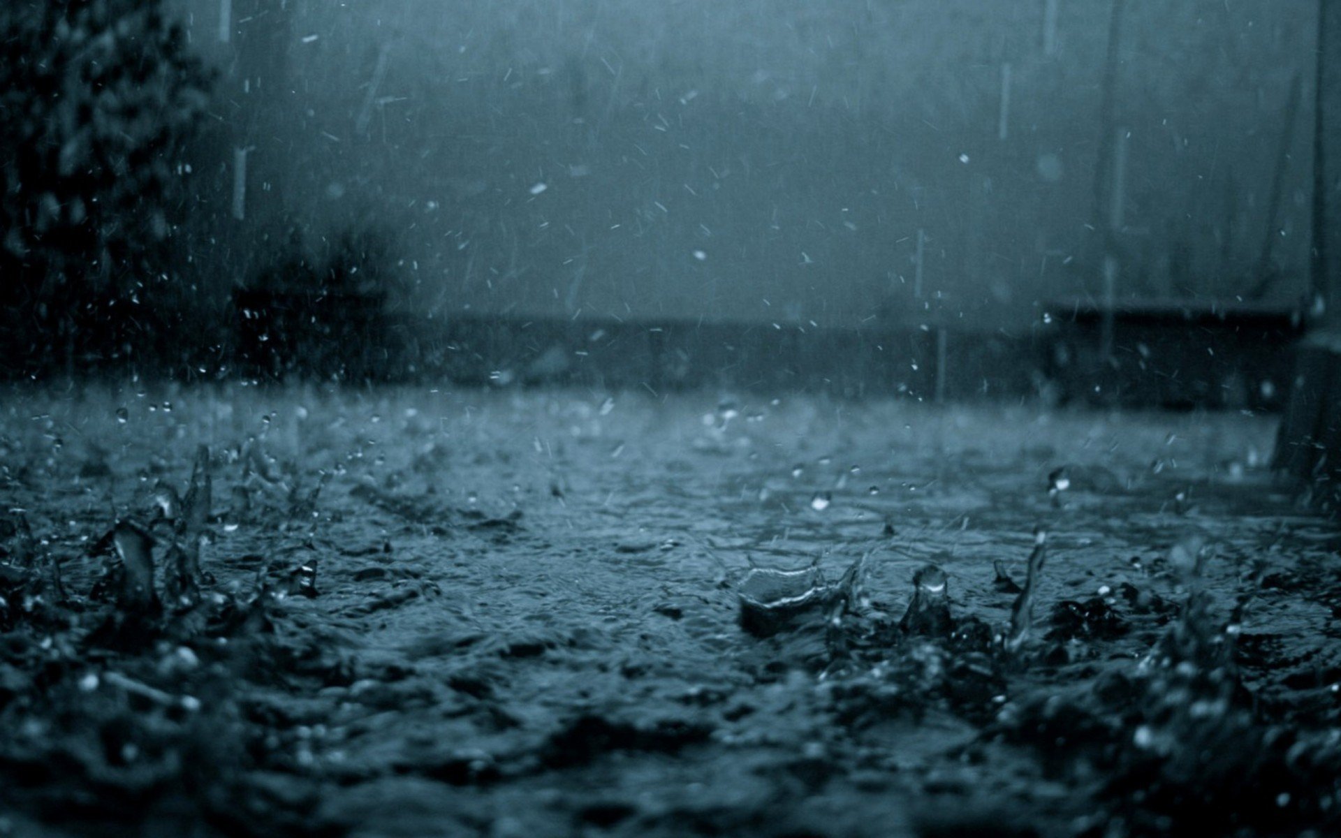 rain Wallpaper