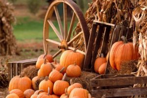 pumpkin, Wheels, Hay, Fall, Farm, Food
