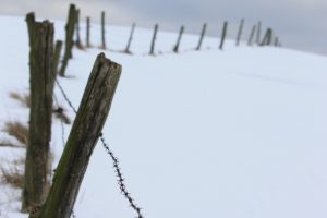 portrait display, Fence, Snow, Depth of field