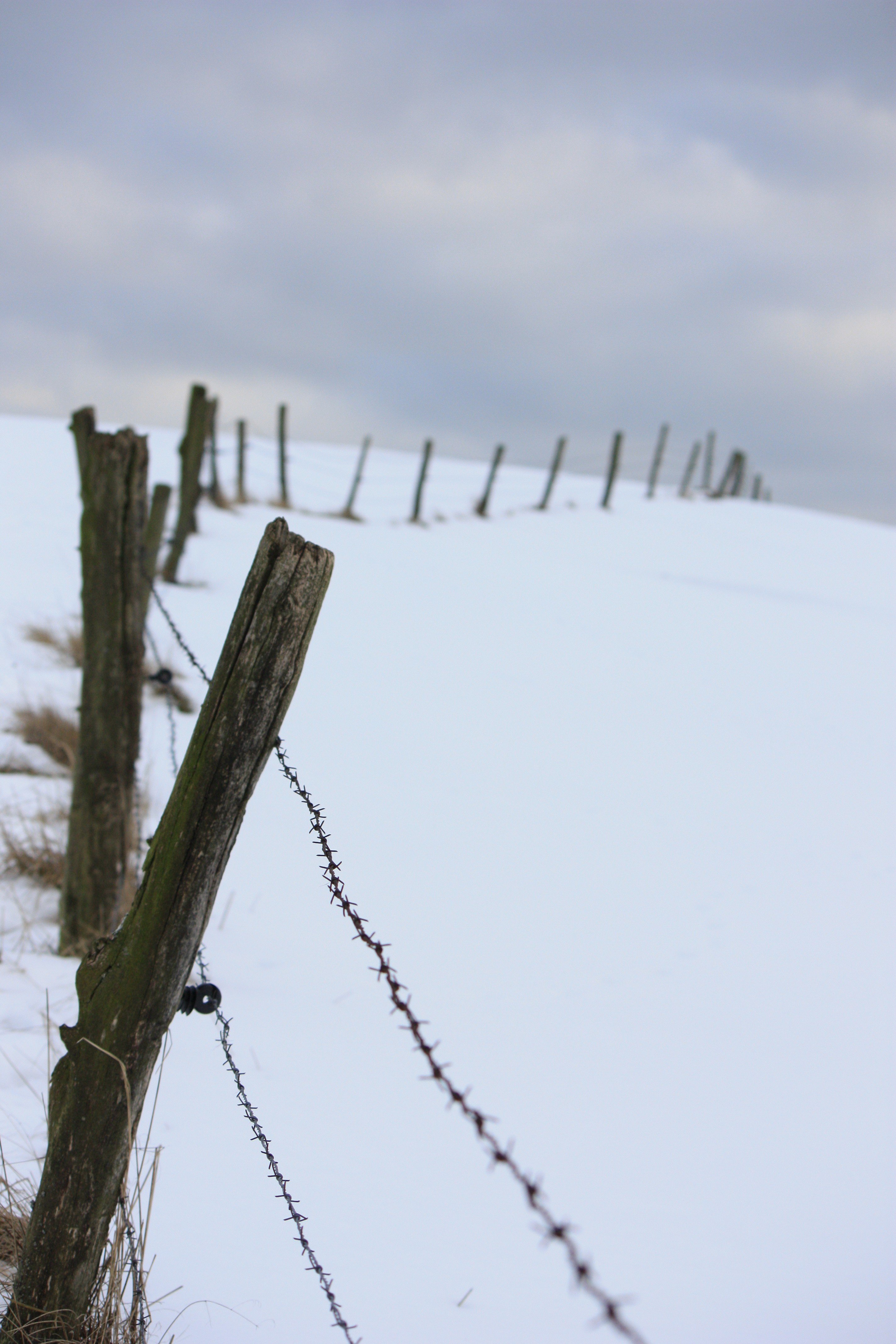 portrait display, Fence, Snow, Depth of field Wallpaper