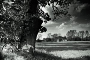 monochrome, Park, Bicycle