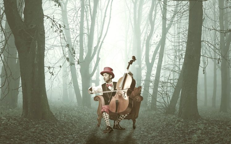 musical instrument, Trees, Music HD Wallpaper Desktop Background
