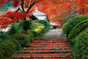 Japan, Fall, Stairs