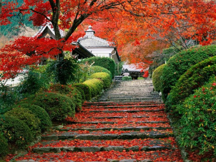 Japan, Fall, Stairs HD Wallpaper Desktop Background