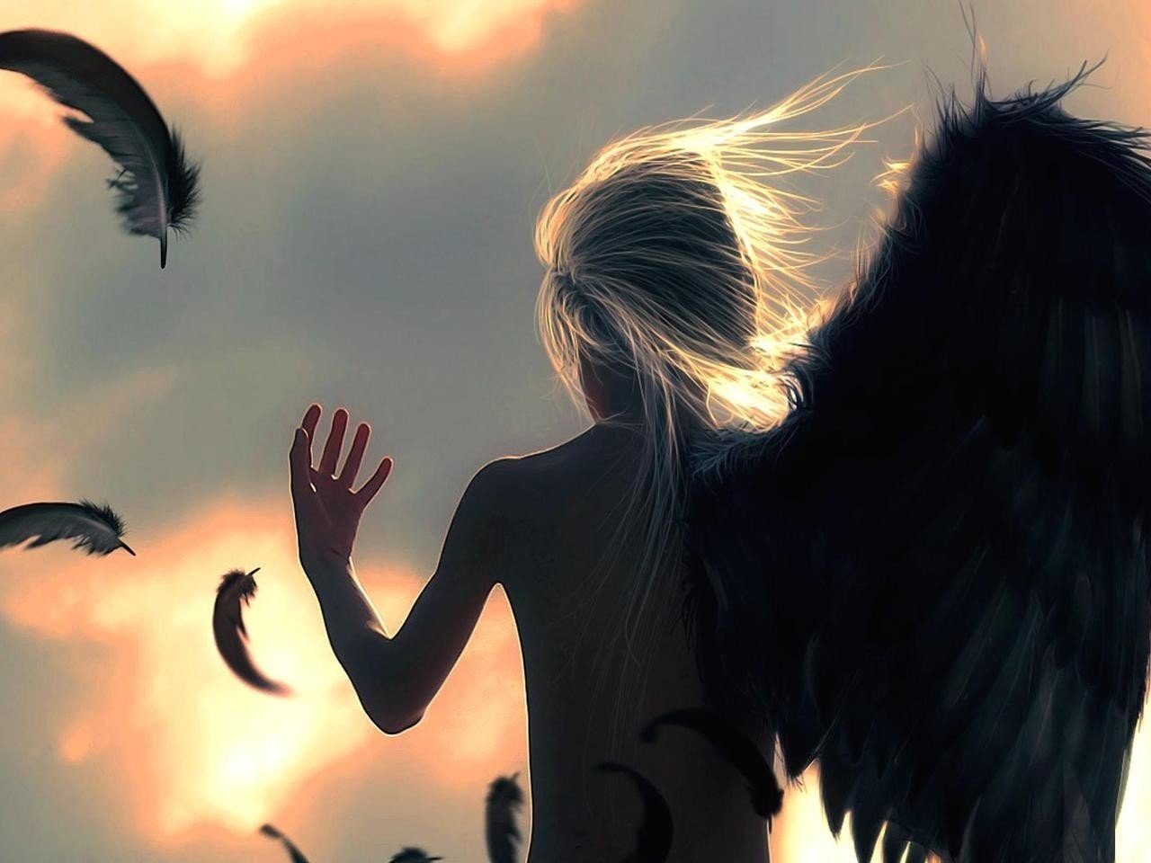 angel Wallpaper