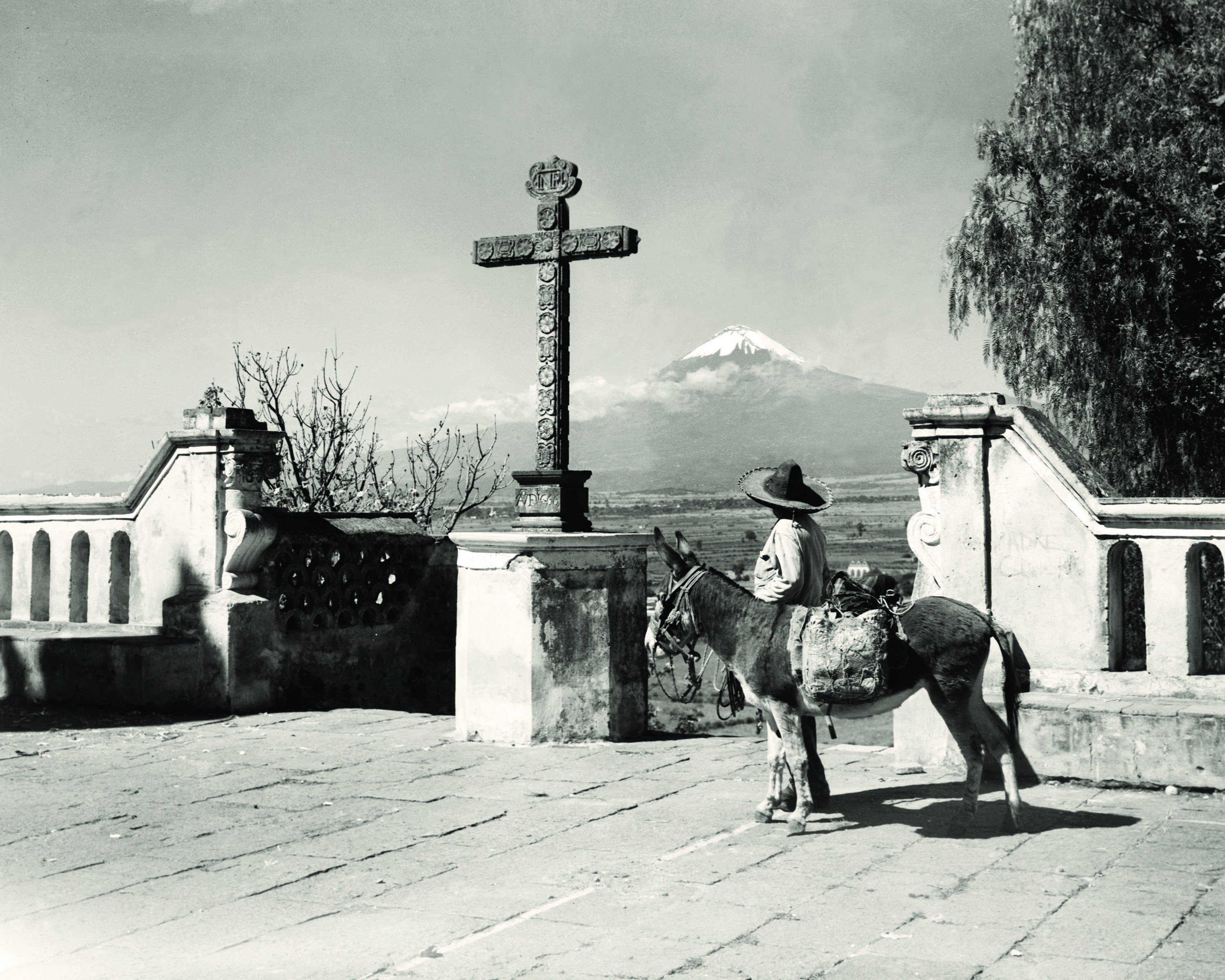 cross, Donkey, Monochrome Wallpaper