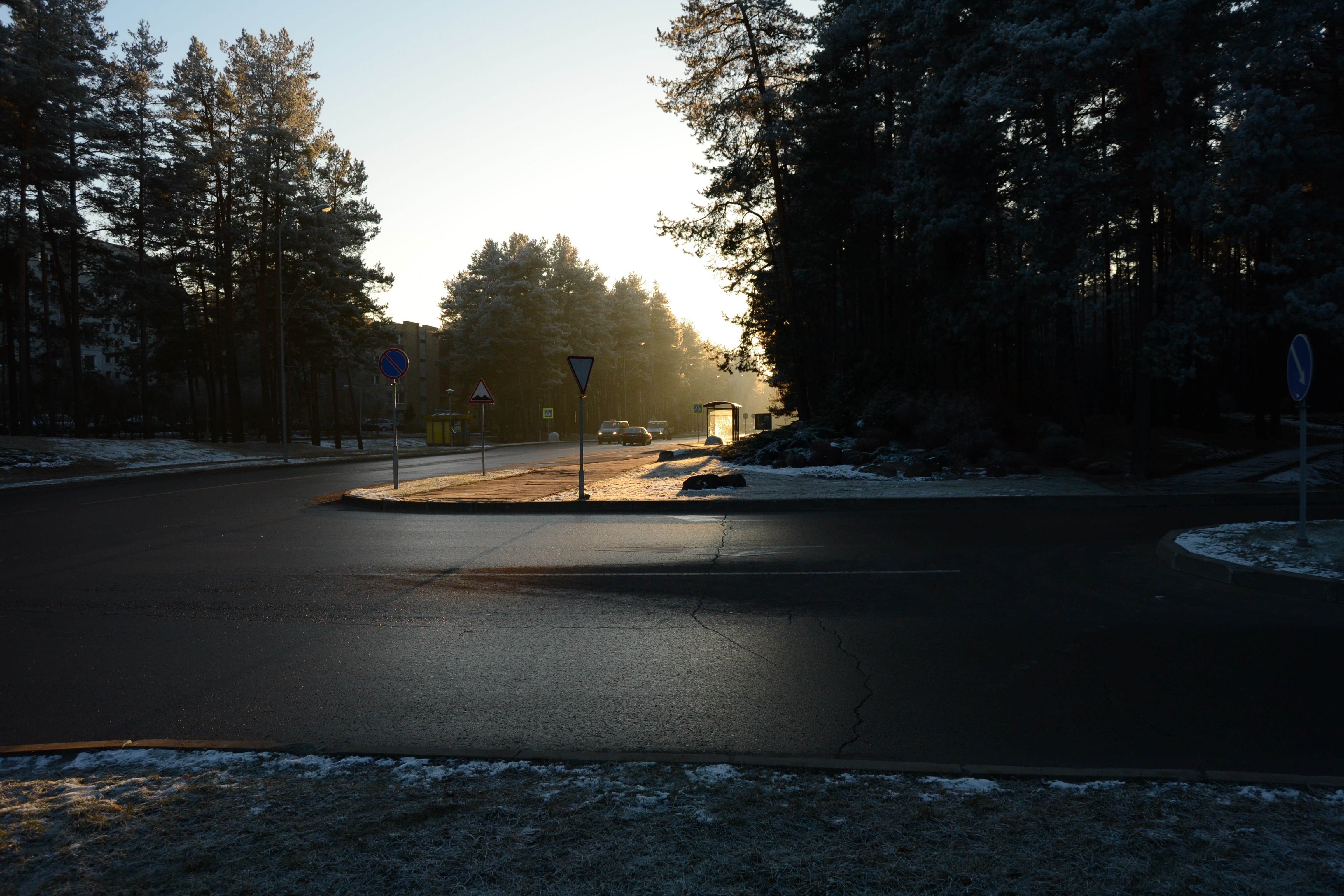 street, Traffic, Trees, Road Wallpaper