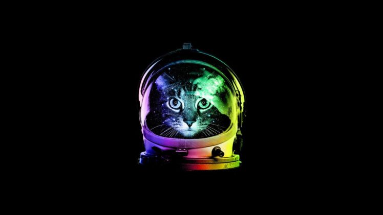 astronaut, Minimalism, Cat, Colorful HD Wallpaper Desktop Background