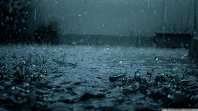 rain, Water drops, Water HD Wallpaper Desktop Background