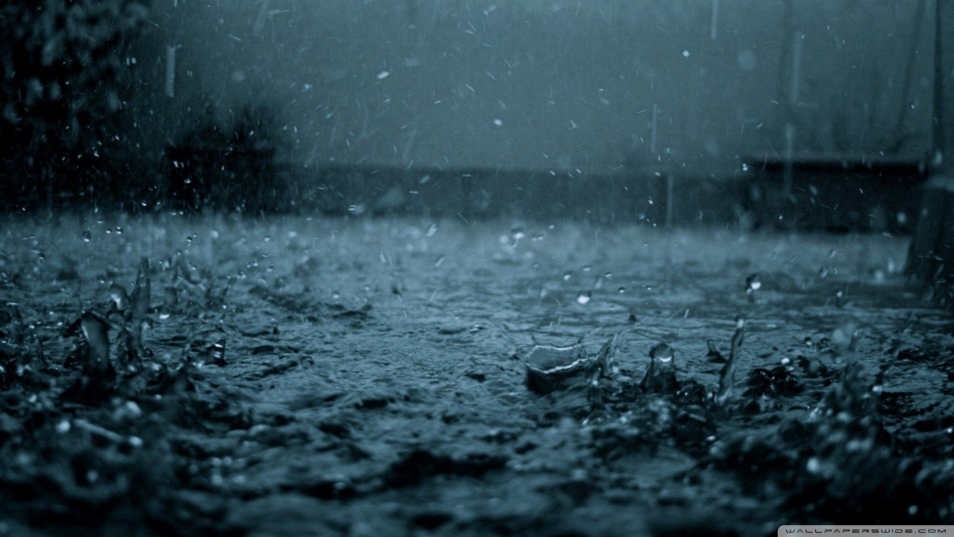 rain, Water drops, Water Wallpaper