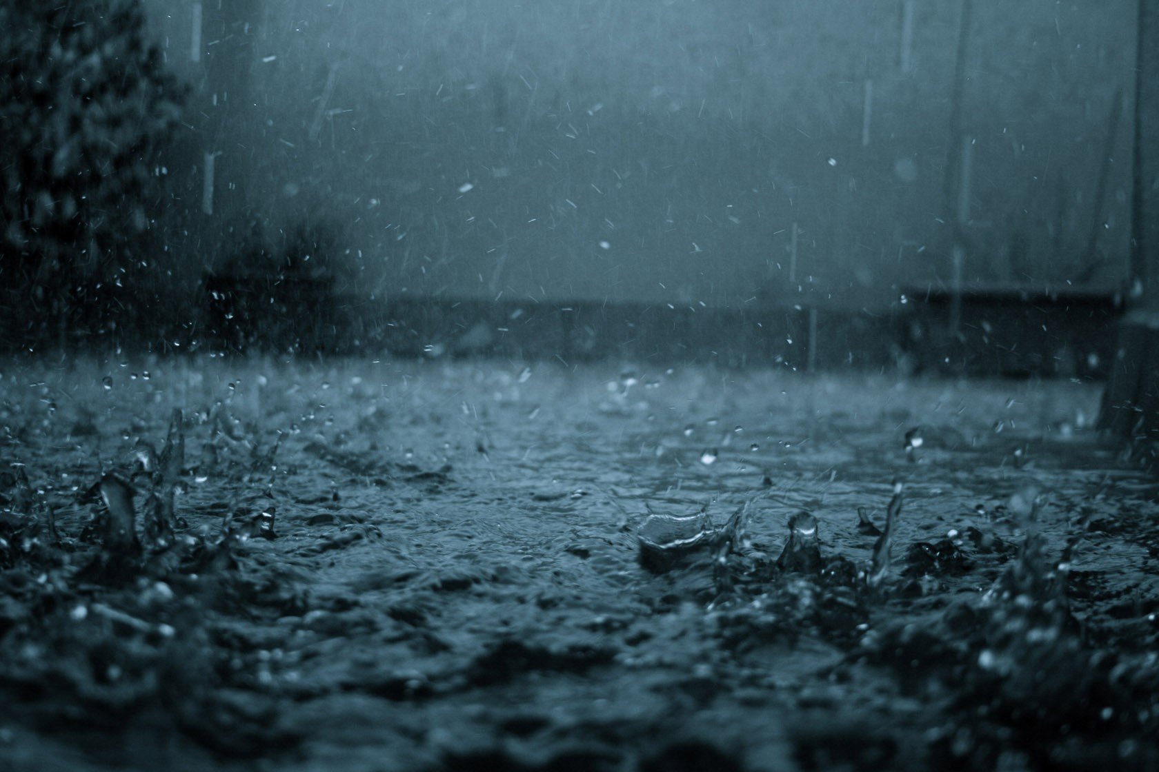 rain Wallpaper