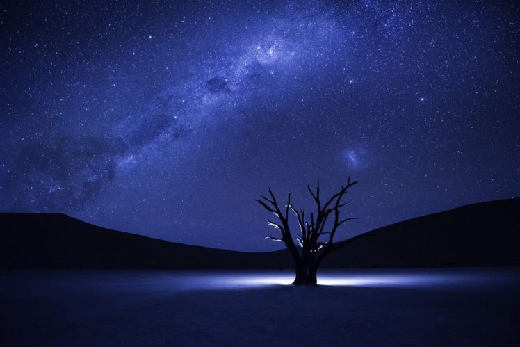 Milky Way, Stars, Night, Trees, Silhouette, Glowing, Hills, Namibia HD Wallpaper Desktop Background