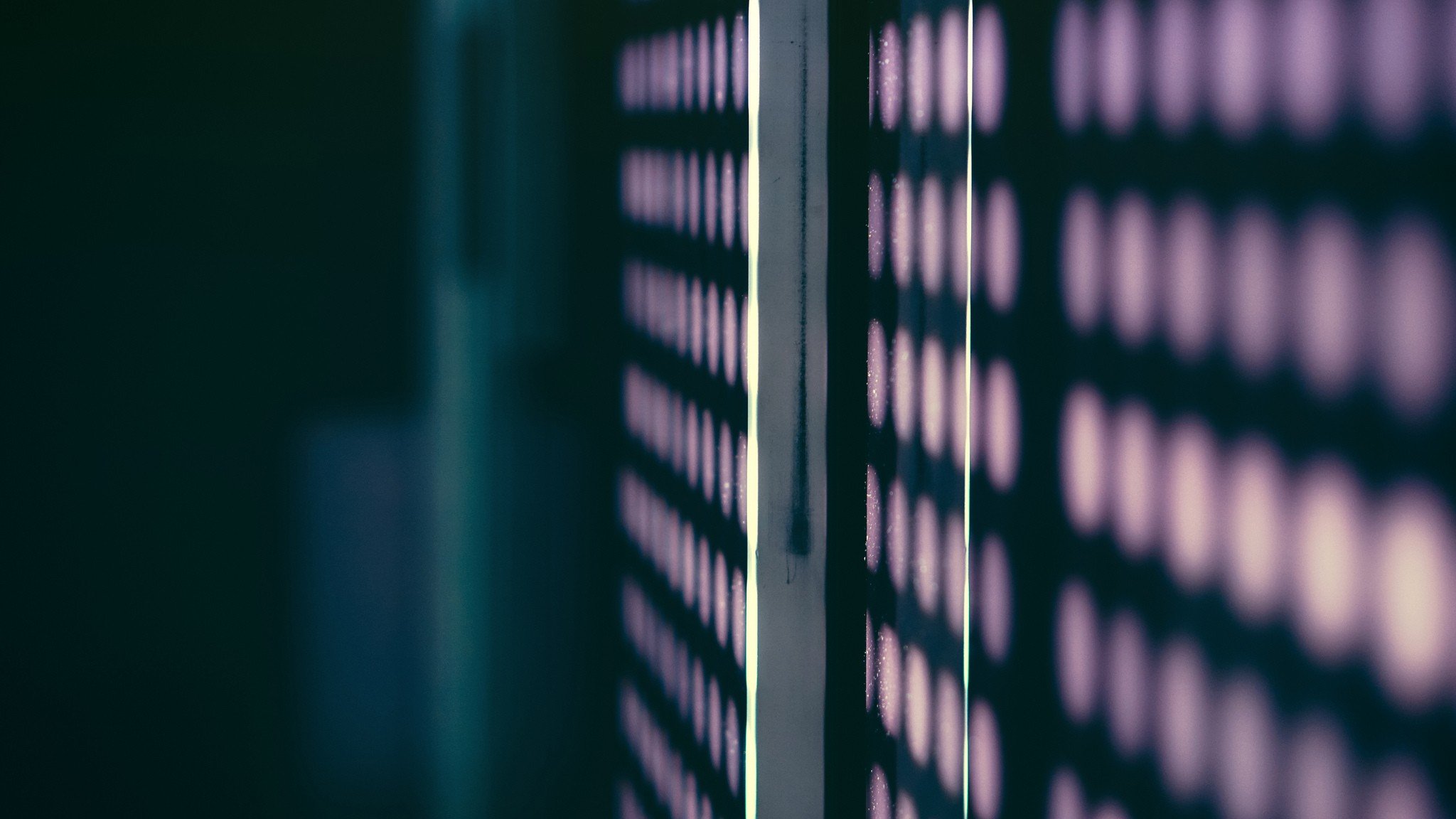 sunlight, Depth of field Wallpaper