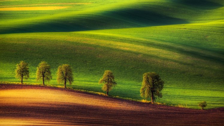 green, Hills, Trees, Ground HD Wallpaper Desktop Background