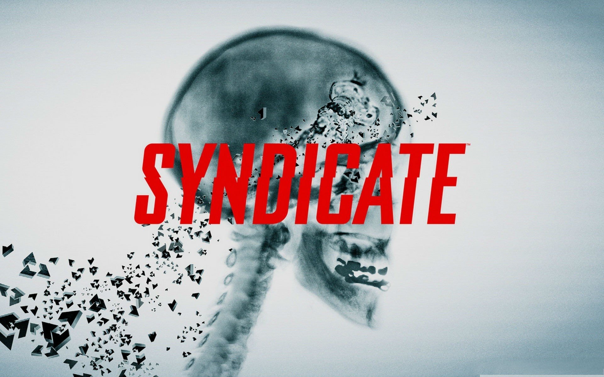 Syndicate Wallpaper